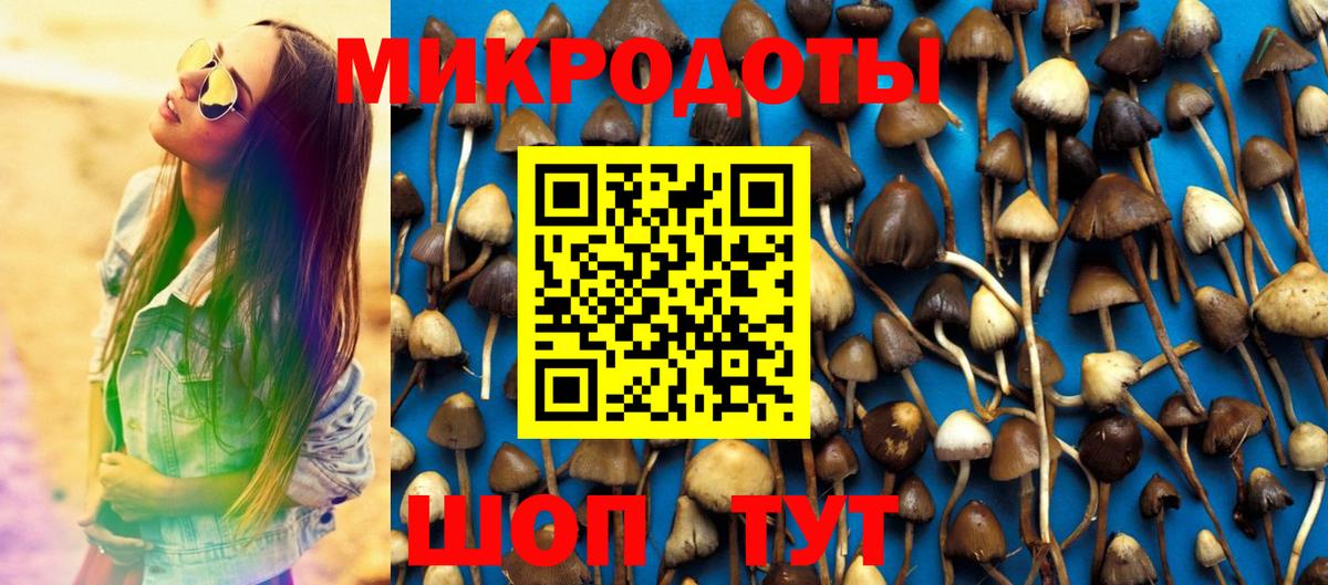 Галлюциногенные грибы Magic Shrooms  Галлюциногенные грибы MAGIC MUSHROOMS  Вход с VPN  Фрязино 